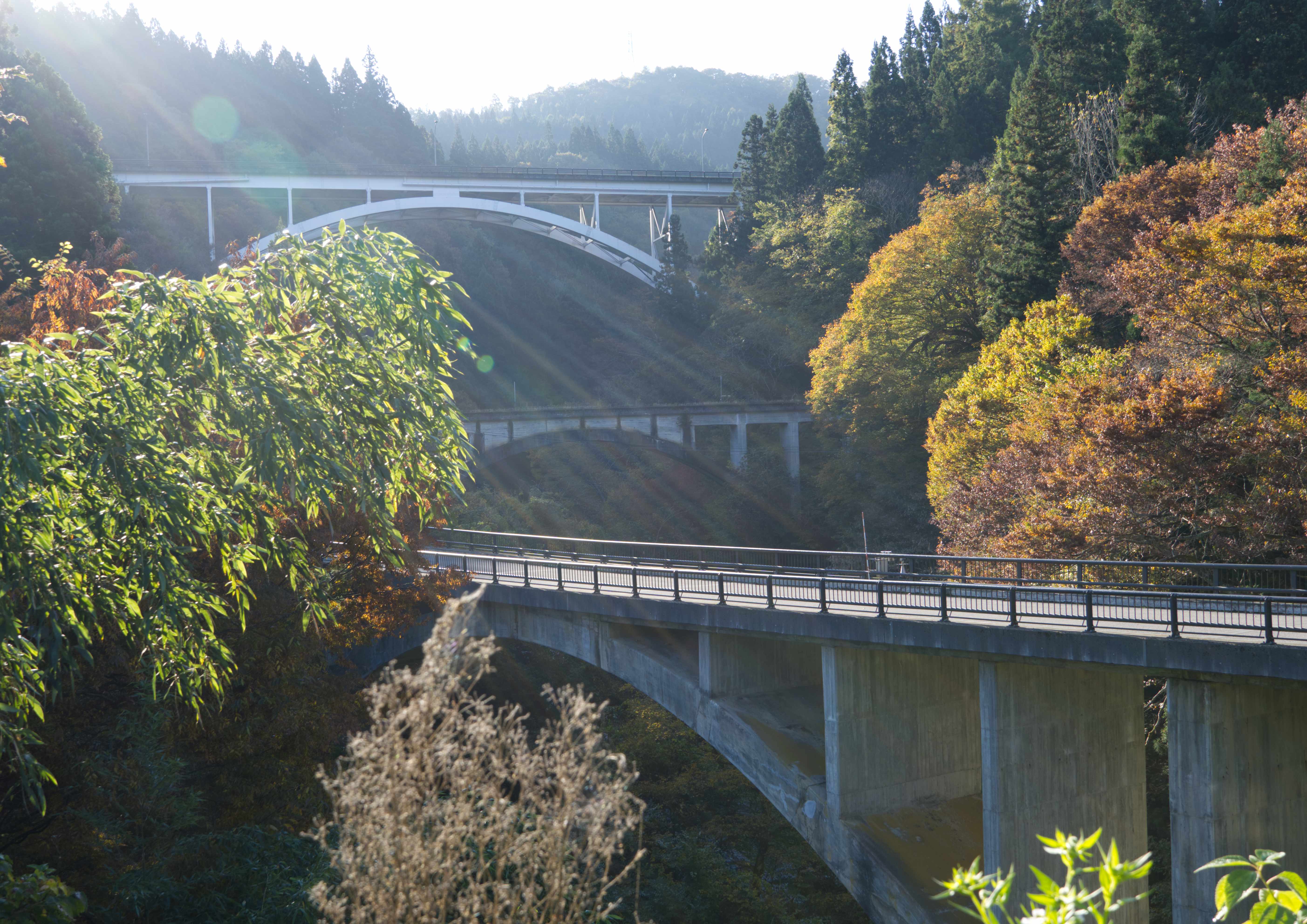 宮下アーチ三兄弟